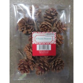Unbranded 12 Pinecone Ornaments.  With hanging rope  Christmas Trees, Holiday decorations