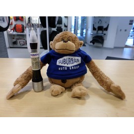 GM Genuine ACDelco 2-In-1 Touch Up Paint Bottle Champagne Silver GWT WA102V & Top Clear Coat