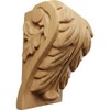 Ekena Millwork CORW03X03X05BACH Medium Acanthus Leaf Block Wood Corbels, 3