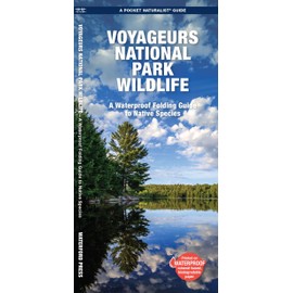 Voyageurs National Park Wildlife: A Folding Pocket Guide to Native Species (A Pocket Naturalist Guide)