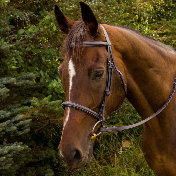 Henri de Rivel Fancy Raised Padded Bridle with Laced Reins