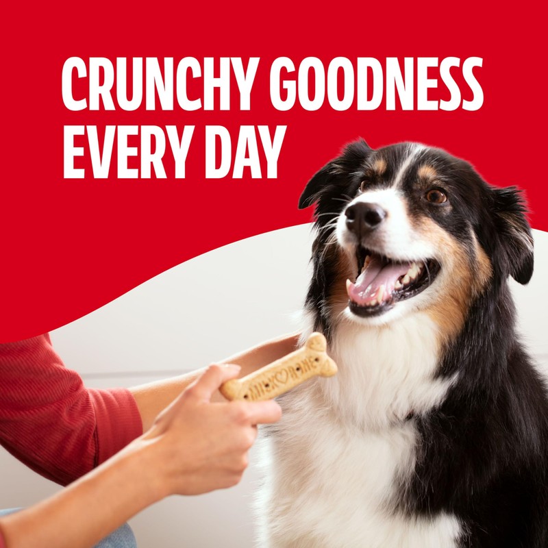 Milk-Bone Original Dog Treats Biscuits for Large Dogs, 24 Ounces