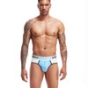 Men's Underwear Briefs 5-Pack Multi Soft Cotton Low Rise Underpants