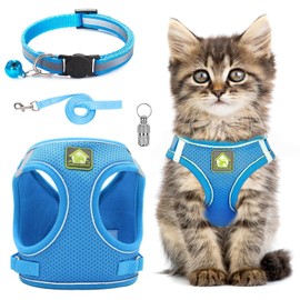 Cat Harness and Leash Set,Adjustable Reflective Stripe Cat Kitten Walking Vest with Leash Cat Collar,Soft Mesh Vest Escape Proof Harness and Lead for Small Medium Cats Pets Walking (Blue, L)
