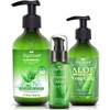 Gel de aloe vera
