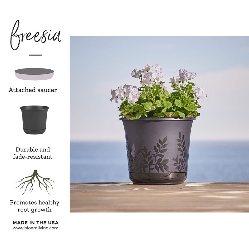 Bloem FP0600 Series Water Planter, 6", Black