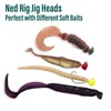 Dr.Fish 10 Pack EWG Ned Rig Jig Heads, Freshwater Bass