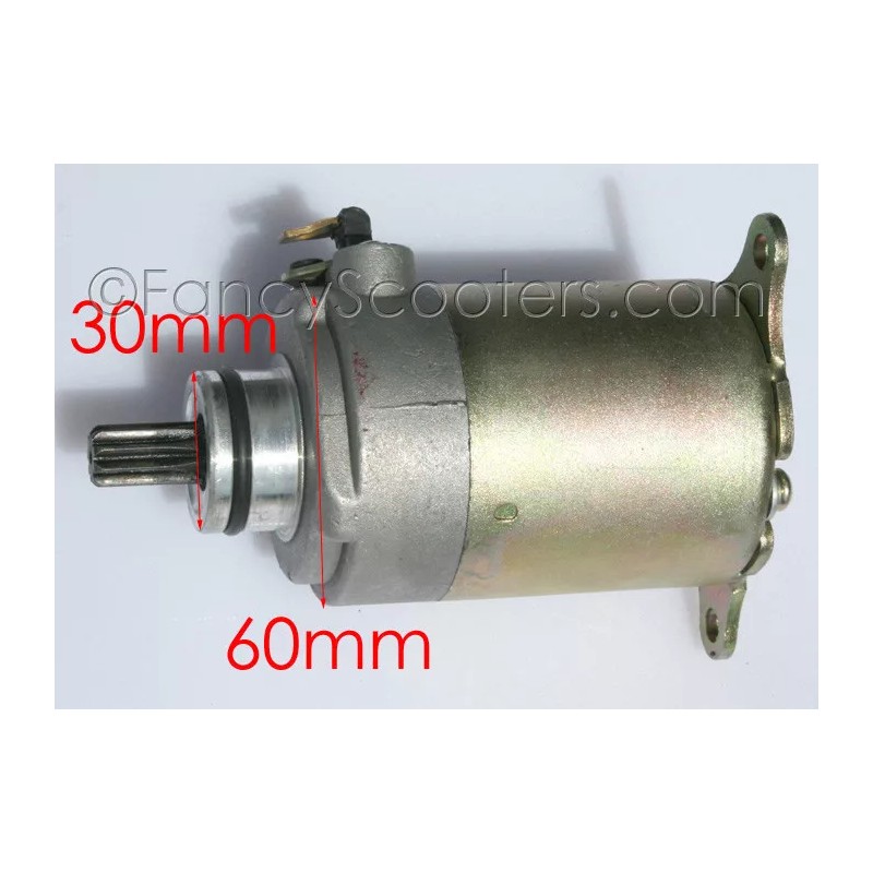 FANCY SCOOTERS Massimo Buck 250, Buck 250X Golf, Electric Starter