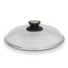 SKK 037 Glass Lid 16 CM Suitable for round Titanium