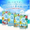 シードコムス がんばりマース 塩タブレット パイン 5袋 クエン酸 ビタミンC BCAA 沖縄県産黒糖 沖縄県産塩