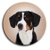 Merchandise for Fans 01 Entlebucher Mountain Dog Portrait 5 Round