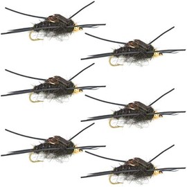 The Fly Fishing Place Bead Head Nymph Fly Fishing Flies - Kaufmann's Black Stone Fly with Rubber Legs - Stonefly Wet Fly - 6 Flies Hook Size 8