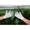 JBL PROSCAPE Cleaning Glove S/M