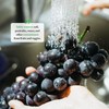 Bayes High-Performance Produce Wash - Fruit and Vegetable Cleaner, Helps
