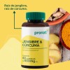 Kit 2 Piezas Suplemento Jengibre & Cúrcuma (60 Caps) Pronat