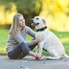 Kokila Collares Tácticos para Perro Ajustable, Mediano, Verde, M