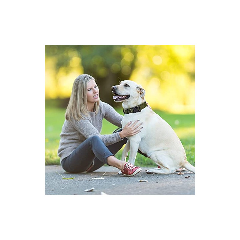 Kokila Collares Tácticos para Perro Ajustable, Mediano, Verde, M
