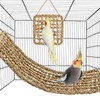 2Pcs Natural Sea Grass Parrot Mat - Foraging Chew Wall