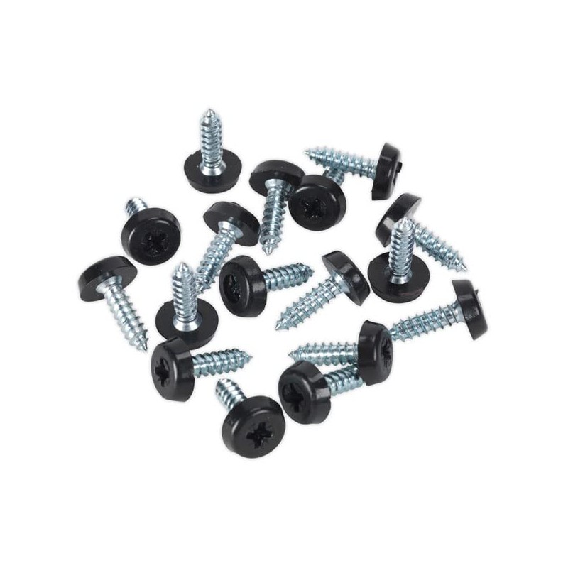KafTon 20Pack Number Plate Fixing Fitting Oversized Screws 5x Blue,