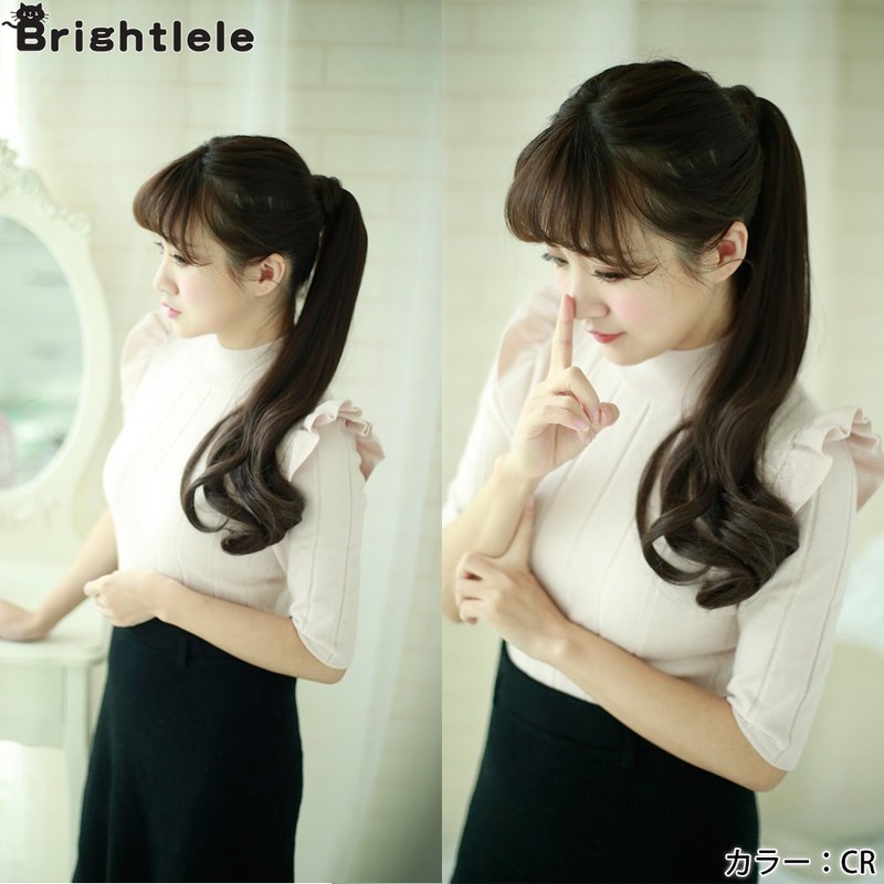 Brightlele 4040-DB Ponytail Wig, Long, One-Touch, Extensions, Twin Tails