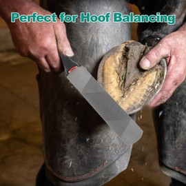 File, blacksmith hoof rasp, horseshoe, an ideal tool for using horse files with rubber handle for horses, sheep, cattle and donkeys