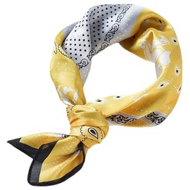 FAIRYGATE Tuch Damen Seidentuch Schal Damen-schal Business Schals & Tücher für Frauen Halstücher 31016