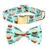 Stud Muffin Dog Bow Tie Dog Collar Accessory, Detachable Bowtie,