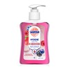 Sagrotan Hand Soap Blackberry and Forest Fruits – Hygienic Liquid