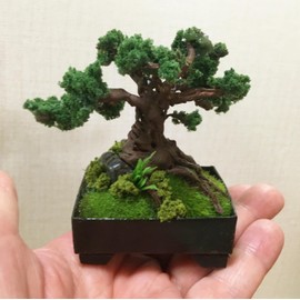 M01003-B MOREZMORE Miniature Bonsai House Plant OOAK Handmade 1:6 Scale for Puppet Dollhouse Landscape Diorama Miniature Plants