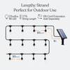 Brightech Ambience Pro Solar Powered Outdoor String Lights, 48 ft
