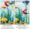 4 Pcs Betta Hammock & Fish Toys Set,Betta Fish Tank
