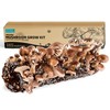 Back to the Roots Organic Shiitake Mushroom Kit; Great Gift;