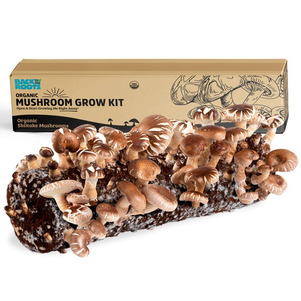 Back to the Roots Organic Shiitake Mushroom Kit; Great Gift;