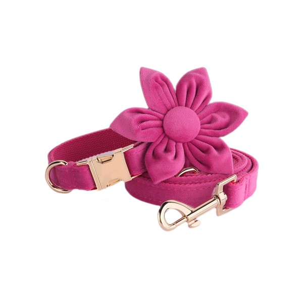 IUOUTG Extra Large Dog Collar and Leash Set with Bow