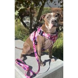 Boss Dog Tactical Leash, Pink Camo, 6 FT
