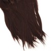 Brown Wig Fashionable Heat Resistant Soft Long Straight Layered Synthetic