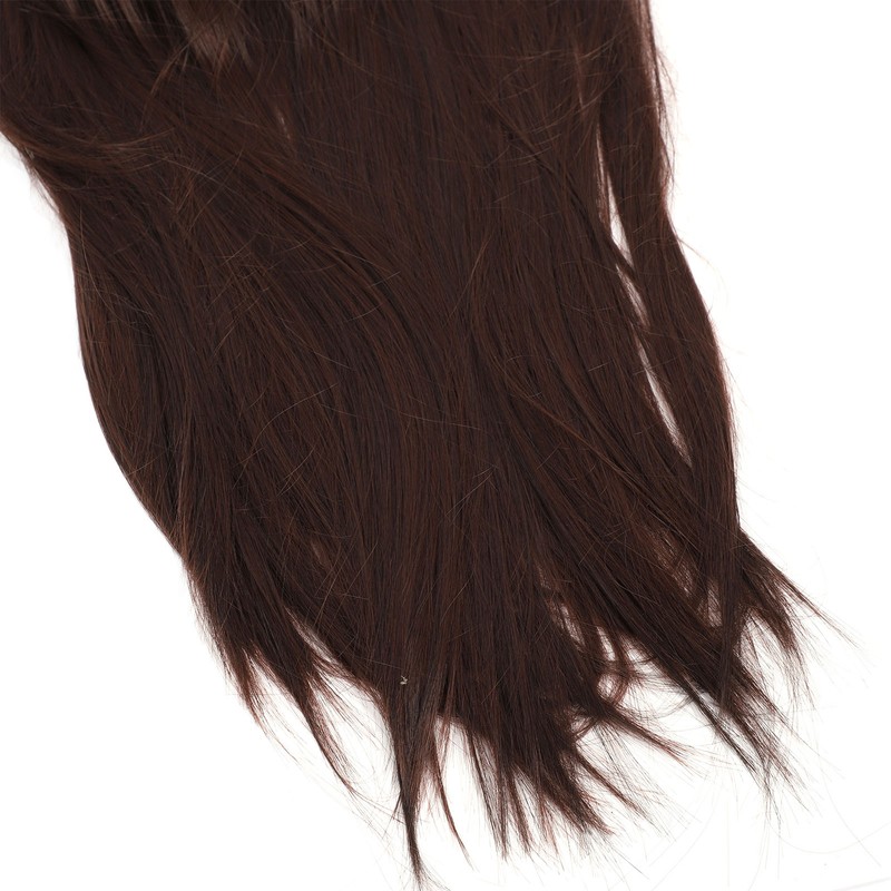 Brown Wig Fashionable Heat Resistant Soft Long Straight Layered Synthetic