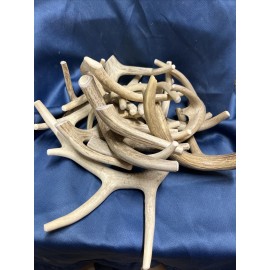 OkieAntlers Huge COLOSSAL JUMBO CHEWS Whole Deer Antler Dog Chew SALE  #1 GRADE Massive XXXL