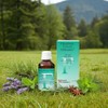 Hofmann & Sommer Hingfong Essence, Medicinal Herbal Supplement in Teardrop