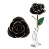 Long Stem Dipped 24k Gold Trim Red Rose In Gold