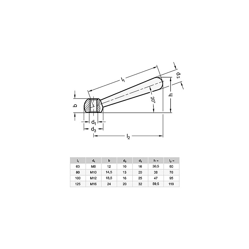 Ganter Normelemente Taper Handles Stainless Steel DIN 99-80-M10-N-NI Handle Length: