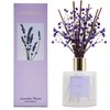Cocorrína Premium Reed Diffuser Set with Preserved Baby's Breath &