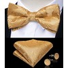 DiBanGu Men's Gold Paisley Vest and Necktie Set 6PCS Pre-tied