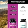 Myo Inositol 500 Por Cápsula Colágeno Hidrolizado Fórmula Completa Azúcar