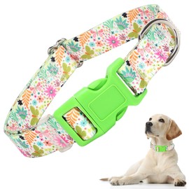 Dog Collars for Puppy Small Dogs with Summer Spring Flower Florals for Boy & Girl Dogs, Adjustable Heavy Duty Nylon Collar with Quick-Release Buckle for Small Medium Large Dogs (XS)