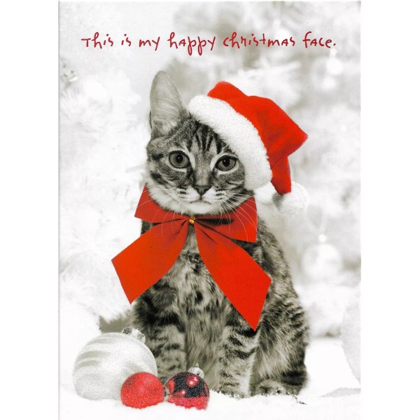 STRIPED KITTEN IN SANTA HAT COLORFUL CHRISTMAS CARD "SPARKLE" by
