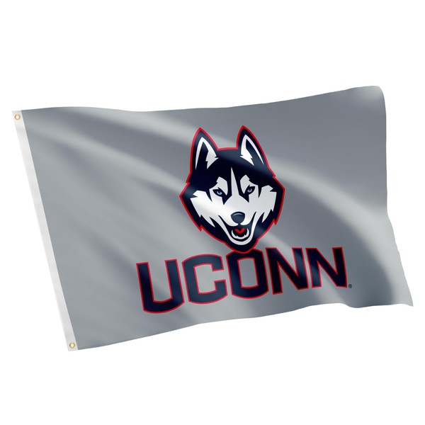 Desert Cactus University of Connecticut Flag UConn Huskies Flags Banners