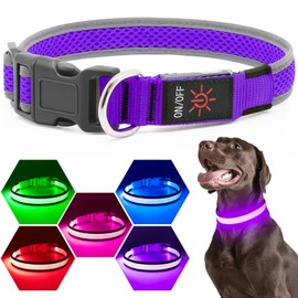 Flashseen LED Dog Collar, USB Rechargeable Light Up Dog Collar Lights, Adjustable Comfortable Soft Mesh Safety Dog Collar for Small, Medium, Large Dogs (Purple, Medium)