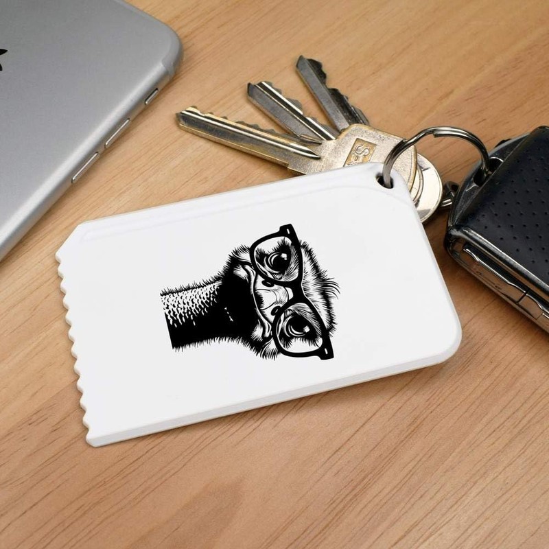 Azeeda 'Ostrich Wearing Glasses' Plastic Ice Scraper (IC00038025)