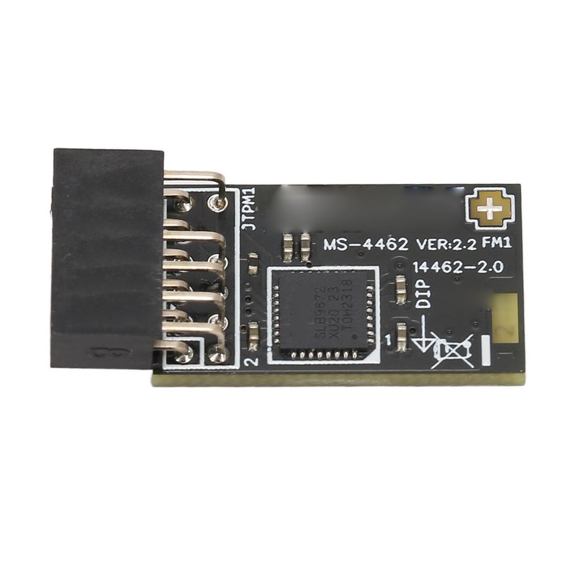 TPM2.0 Encryption Security Module, Motherboards Desktop TPM2.0 Module, SLB 9672